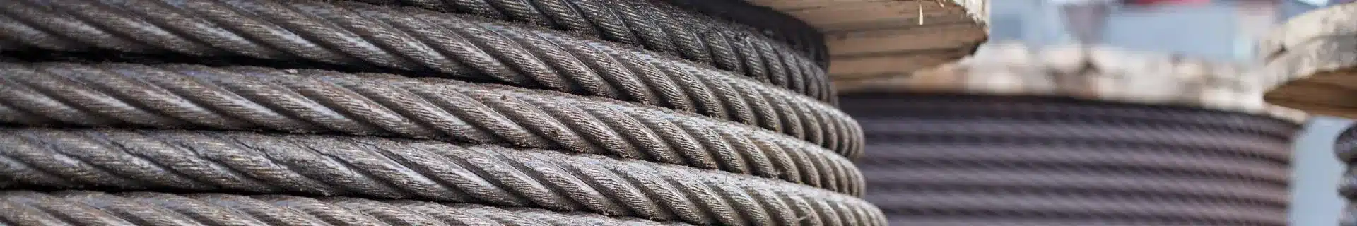 Rigging (Basic)