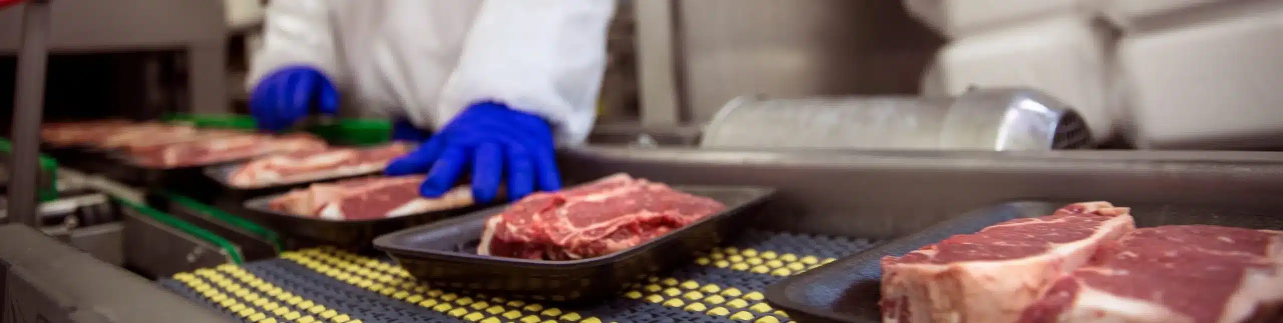 Food Handling Safety