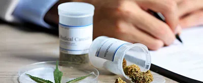 Cannabis & the Workplace: Impairment Awareness for Employees