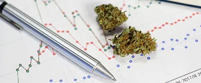 Cannabis & the Workplace: Employee Overview/Rights and Responsibilities