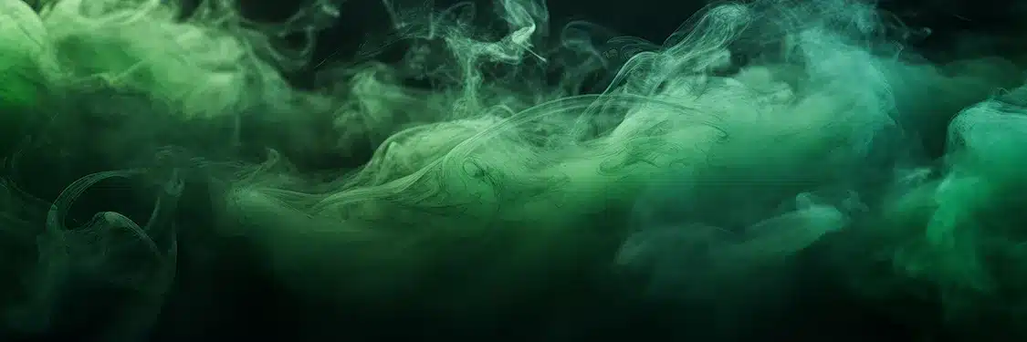 Detection and Control of Flammable and Toxic Atmospheres