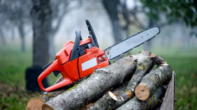 Chainsaw Safety