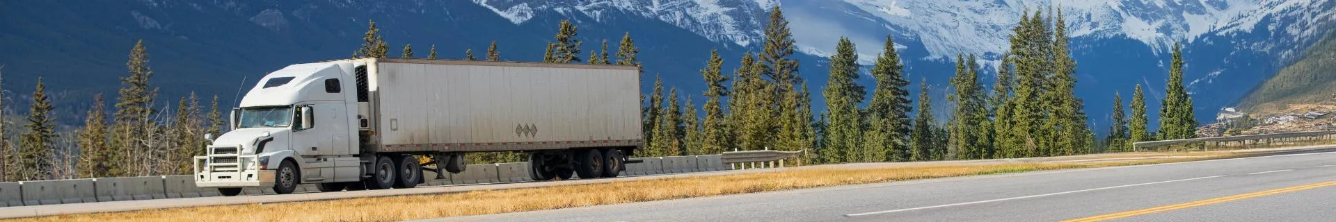 Weights and Dimensions