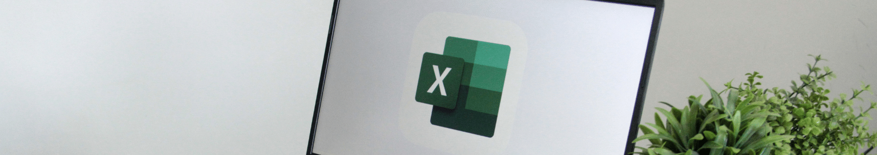 Microsoft Excel Essentials