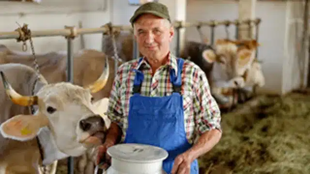 Dairy Workers: Personal Protective Equipment Safety