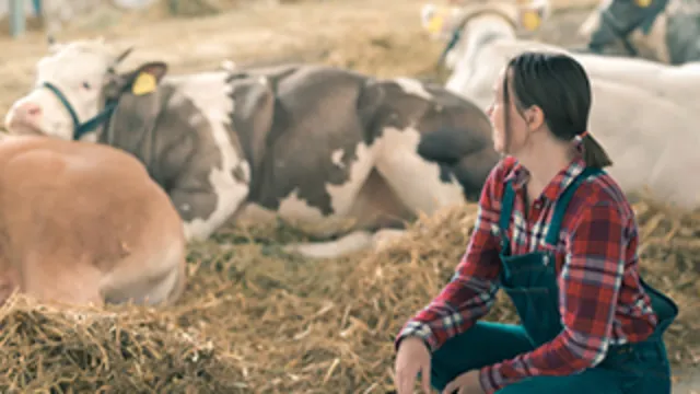 Dairy Workers: Feed Handling and Storage Safety