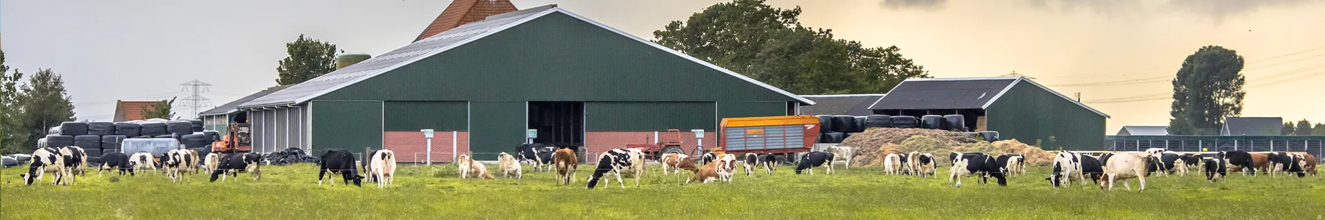 Dairy Workers: General Dairy Worker Safety