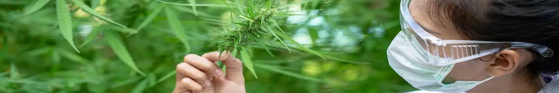 Field Research Safety