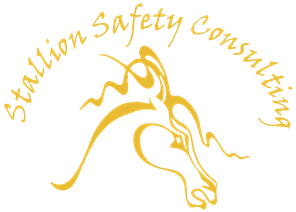 Stallion Safety