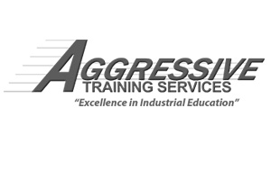 Aggressive Training Services
